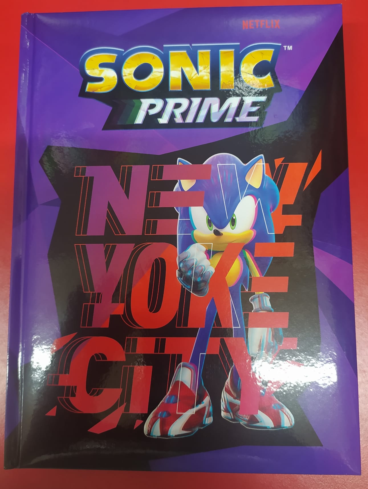Diario Standard Sonic 2023 2024